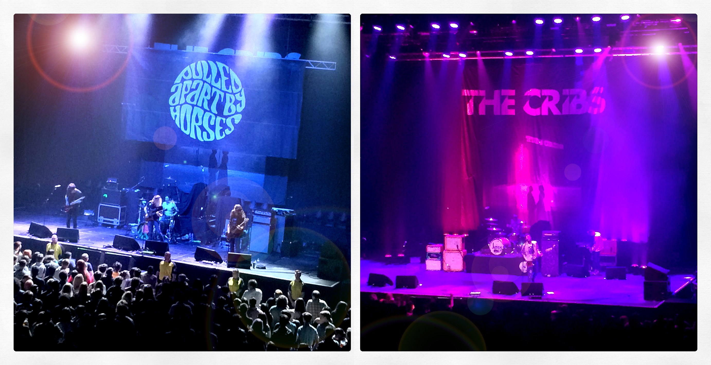 256g_The Cribs [200517]