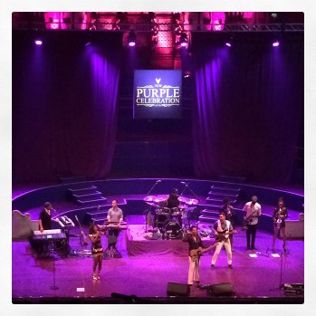 297d_New Purple Celebration [160818]