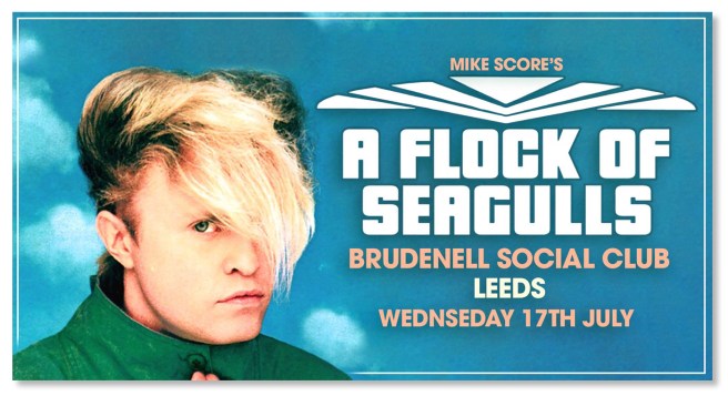 342b_A Flock of Seagulls [170718]