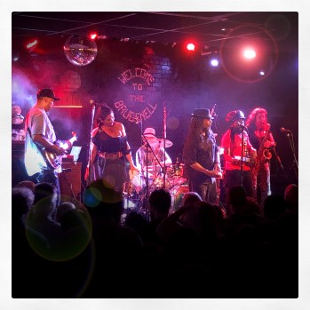 344f_Easy Star All Stars [230719]